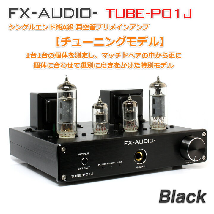 FX-AUDIO TUBE-P01J チューニングモデル 真空管プリメインアンプ（FX 