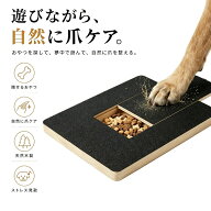 犬用爪とぎボード｜おやつ収納付き・セルフ爪ケア 番号7012