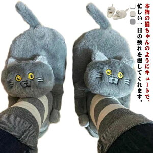 Xbp [V[Y fB[X L  ʂ  h ۉ  g H~ ӂӂ   É