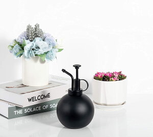 ���|�p������ ������ ���傤�� ������ �ی^ ���| �|�� �U�� �ϗt�A�� 500ml �i�u���b�N�j