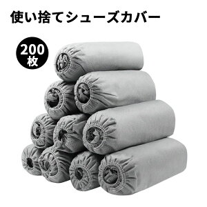 200i100jĝăV[YJo[ CJo[ ĝ sDzV[YJo[ t[TCY jp h~ h ϖ ׂ