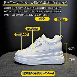 Xj[J[ fB[X 10cm y ėp gAbv   bV T}[V[Y C V[Y EH[LO _bhXj[J[