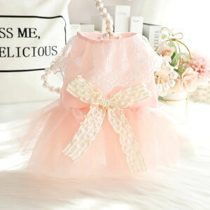  t  L vZX hX sN {[ `[ Č ^ ^ 킢