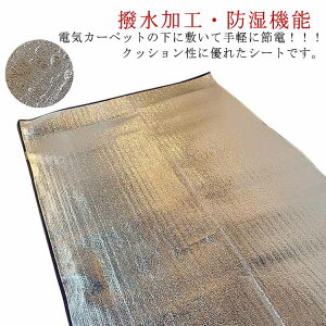 A~V[g fMV[g ۉV[g h_j 2.5mm 200×300cm ۉ}bg A~}bg zbgJ[ybg  ~ ܂肽