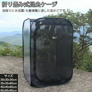 甠 AP[W W{ ܂ݒ P[W |bvAbvnEWO ʋC lbg ɐB P[X 4TCY ώ@ W