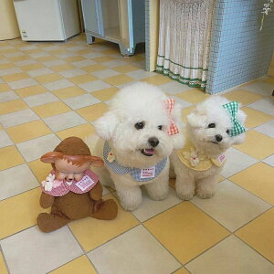 X^C `FbN ybgpi n ybgpzbgJ[ybg ybgpoJ ybgpzbg}bg ybgpq[^[ ybgp 悾