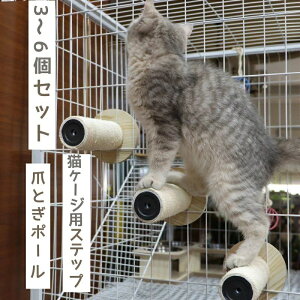 L P[WpXebv Vׂ܂Ƃ|[ 3`6Zbg VRTCU ~ߕt 15cm P[Wp ܂Ƃ lR ˂ ܂Ƃ Ki L