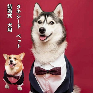 ���� �y�b�g�� �y�b�g �y�b�g�p ���� �h�b�O�E�F�A �^�L�V�[�h �V�Y ���{�� �l�b�N���X�t�� ���^�� ������ �E�F�f�B���O ���j�� �L�O�p