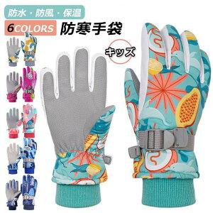  XL[p O[u LbY ̎q j̎q V Xm[{[h h Xm[O[u ܖ{w qp jp ɂ Xm