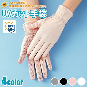 UV ڐG⊴  O w UVJbg UVO[u V[g ⊴ fB[X UV ΍ PA Ă M X}zΉ  