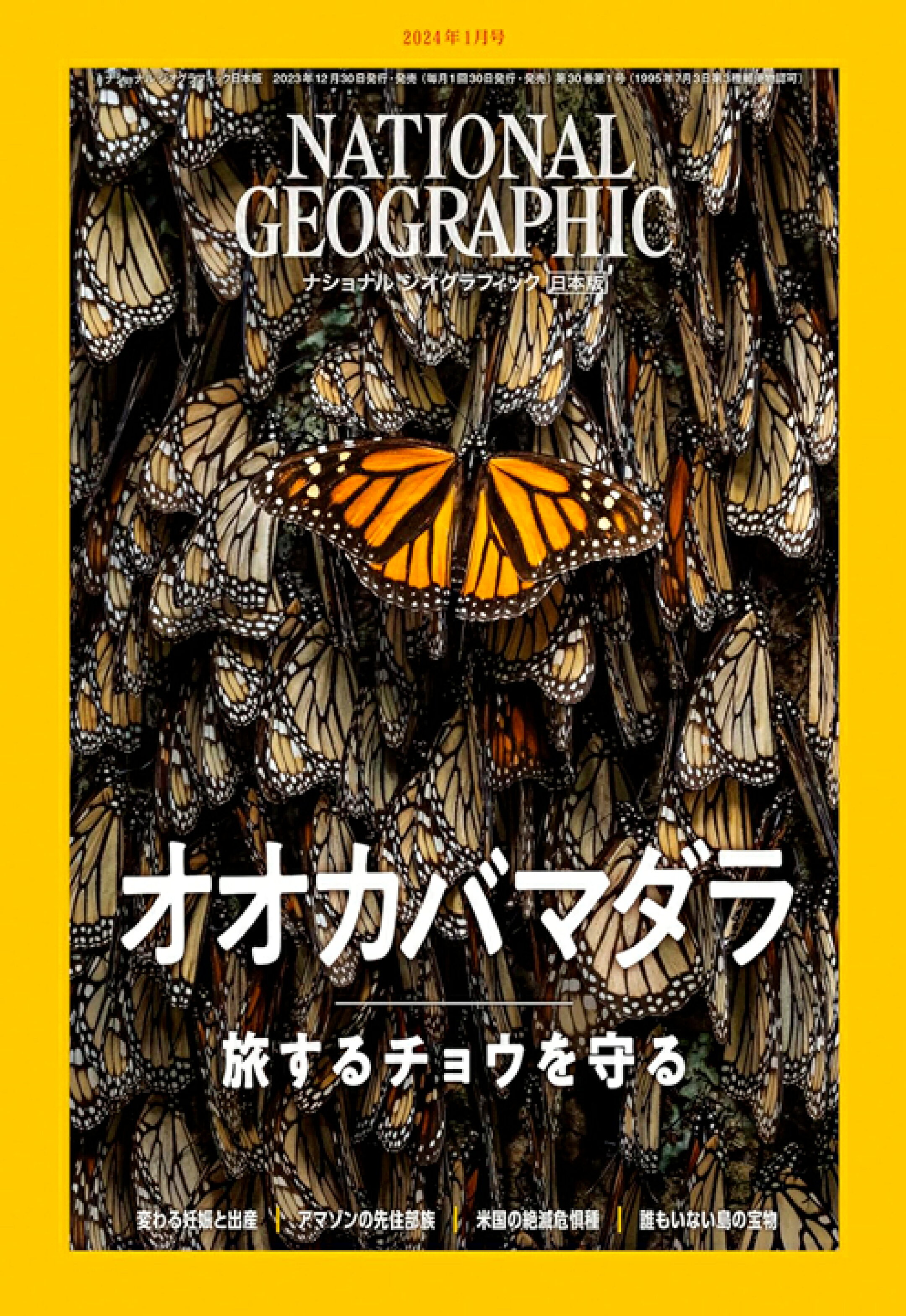 2024年1月号（表紙：オオカバマダラ）｜ナショナル ジオグラフィック日本版