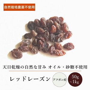 AtKbh[Y(50g`1kg)yGkEn[xXgzAtKjX^ hCt[c R͔| V tFAg[h _ sgp ÖY Y  F  