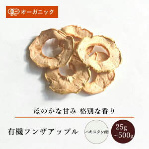 L@tUAbv(25g`500g)yGkEn[xXgzpLX^ tUY hCt[c hCAbv ь  R͔| V  tFAg[h I[KjbN _ L@JASF