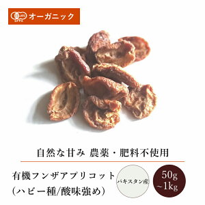 L@tUAvRbg(nr[/_)50g`1kgyGkEn[xXgzpLX^ tUY hCt[c hCAvRbg ǎq  R͔| V tFAg[h I[