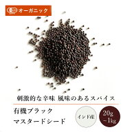 有機ブラックマスタードシード(20g～1kg)【エヌ・ハーベスト】インド産 香辛料 スパイス ハーブ カレー …