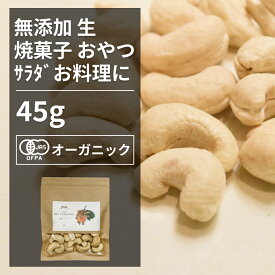 有機カシューナッツ 45g【エヌ・ハーベスト】ベトナム産 ドライフルーツ ナッツ　 オーガニック 無農薬 有機JAS認定 砂糖不使用 甘味料無添加 無香料 無着色 焼き菓子 製菓 メール便