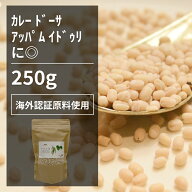 海外認証ウラド豆 250g【エヌ・ハーベスト】インド産 スパイスカレー ラ　ダル　ドーサ　ワダ　ダルマッ…