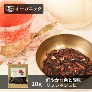 L@nCrXJX 20gyGkEn[xXgzn[ueB[ mJtFC n[u hCn[u  bNX GWvgY L@JAS I[KjbN _  J AgVAj [