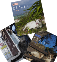 送料無料動物カメラマン 岩合光昭さんがかわいいネコたちをもとめて世界を歩きます 第5弾はシチリア 田園の南仏 沖縄のネコを撮影します 並行輸入品 第5弾 岩合光昭の世界ネコ歩き ブルーレイ 迅速な対応で商品をお届け致します 全3枚セット