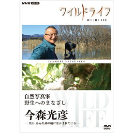 ワイルドライフ 自然写真家 野生へのまなざし 今森光彦 DVD