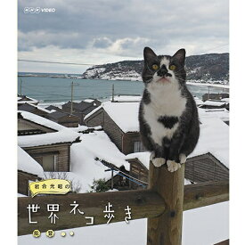 岩合光昭の世界ネコ歩き 能登 ブルーレイ