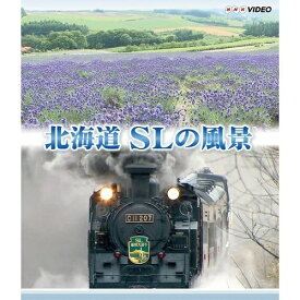 全品ポイント10倍！11日1：59まで北海道 SLの風景