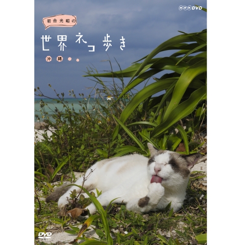 3,980円以上送料無料動物カメラマン・岩合光昭さんがかわいいネコたちをもとめて世界を歩きます。 今回は沖縄。街で出会ったネコ達の表情や撮影風景をのぞいてみましょう！ 500円クーポン発行中！岩合光昭の世界ネコ歩き 沖縄 DVD