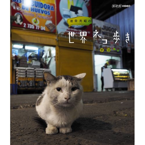 正規認証品 新規格 岩合光昭の世界ネコ歩き 人気ブランド多数対象 チリ
