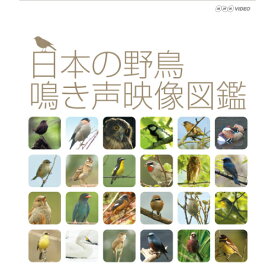日本の野鳥 鳴き声映像図鑑　ブルーレイ