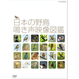エントリーで全品ポイント10倍日本の野鳥 鳴き声映像図鑑 DVD
