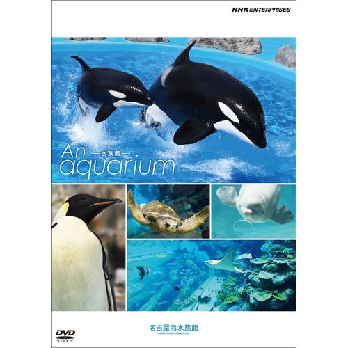 An Aquarium −水族館− 名古屋港水族館