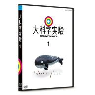 大科学実験 2