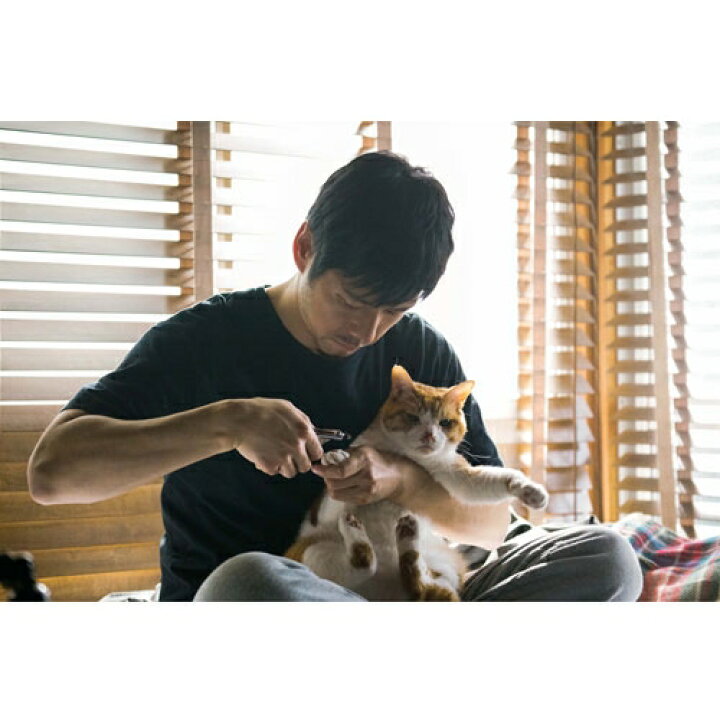 楽天市場】ブランケット・キャッツ DVD-BOX 全4枚 : NHKスクエア DVD・CD館