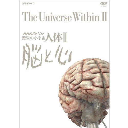 新品未使用 大型ドキュメンタリーの不朽の名作を新価格で連続リリース NHKスペシャル 驚異の小宇宙 人体II 全6枚 DVD-BOX 特価 新価格 脳と心