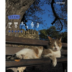 エントリーで全品ポイント10倍500円クーポン発行中！岩合光昭の世界ネコ歩き 田園の南仏 BD