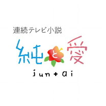 楽天市場】純と愛 完全版 DVD－BOXの通販 