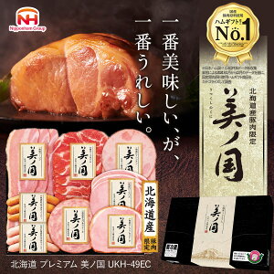 【EC限定】日本ハム 公式 北海道プレミアム 美ノ国 UKH-49EC お歳暮 御歳暮 ハムギフト ギフト セット 詰め合わせ ハム 生ハム ウインナー ウィンナー ソーセージ おつまみ