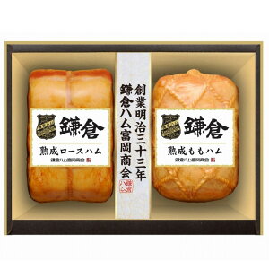 qnx̏nE2{l KA-51A 2025NΕ 蕨 nMtg