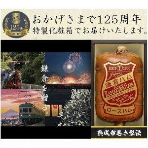 qnx KDA-605S qnx̓` nznl 蕨 Ԃ n Mtg lߍ킹 nMtg Ε