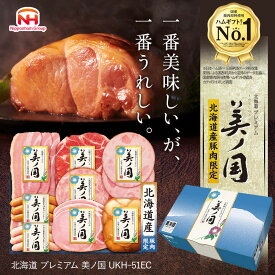 早得ポイント10倍！【公式店限定】日本ハム 公式 北海道プレミアム 美ノ国 UKH-51EC 2026年お中元 御中元 ハムギフト ギフト セット 詰め合わせ ハム 生ハム ウインナー ウィンナー ソーセージ おつまみ 夏ギフト 贈答品
