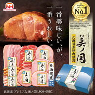 【公式店限定】日本ハム 公式 北海道プレミアム 美ノ国 UKH-49EC 2026年お中元 御中元 ハムギフト ギフト…