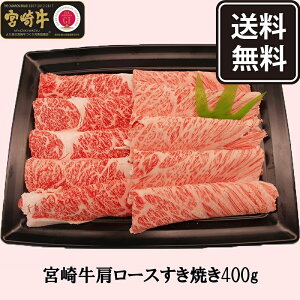 y|CgAbvz9/19 20:00~9/24 01:59{苍 [X Ă 400g   Mtg J јa Y Ⓚ Hi  Mtg 