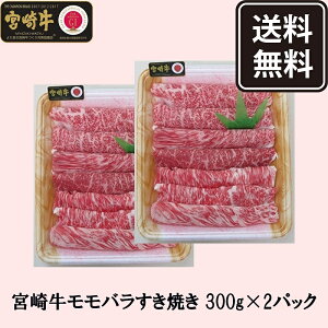 {苍  o Ă 600g   Mtg J јa Y Ⓚ Hi  Mtg
