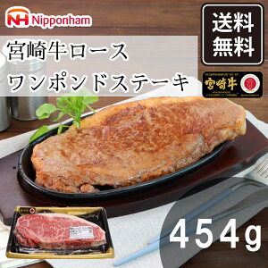 {苍 [X |h Xe[L 454g   Mtg J јa Y Ⓚ Hi Mtg 