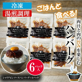 日本ハム 肉汁あふれる 和風ハンバーグ (シャリアピンソース) 6パック入り湯煎するだけ 簡単調理 冷凍