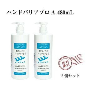 【あす楽対応】ハンドバリアプロA ポンプ付き大容量ボトル（480ml）2個セット 大木製薬 医薬部外品 指先 手 皮膚保護クリーム 保湿成分 水分 潤い さらさら しっとり 肌荒れ 乾燥 水仕事