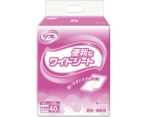 t@֗ȃChV[g@ 92431@40^TCY43×60cm^zʖڈ^240cc^o