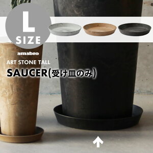 yLTCYzART STONE - TALL - SAUCER A[g Xg[ g[ \[T[ amabro A}u󂯎M̂