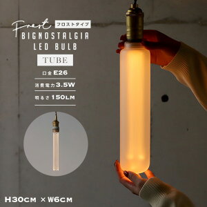 ytXgzBIG TUBE NOSTALGIA LED Bulb / tXgH rbN `[umX^WA LED ou WEST VILLAGE TOKYO (EGXgrbWg[L[) 30cm LEDd E26 20W d 3.5W 2200K 150LM([) 