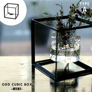 yTYPE AzODD CUBIC BOX -MINI-/ Ibh L[u {bNX ~j WEST VILLAGE TOKYO EGXgrbWg[L[ W16×16×H16cm v^[ A ACA S vc AX^h ɕ LhX